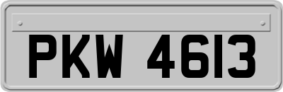 PKW4613