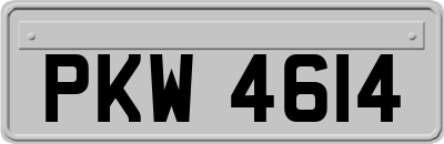 PKW4614
