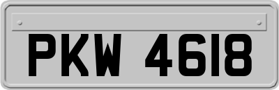 PKW4618