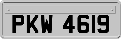 PKW4619