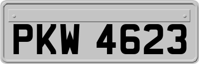 PKW4623