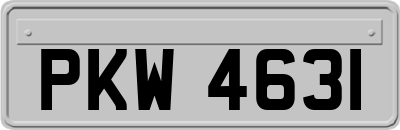 PKW4631