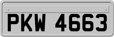 PKW4663
