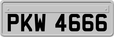 PKW4666