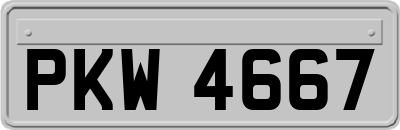 PKW4667