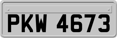 PKW4673