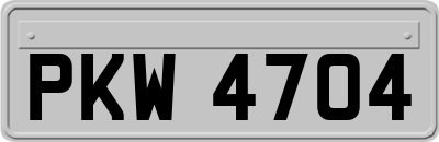 PKW4704