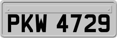 PKW4729