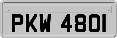 PKW4801
