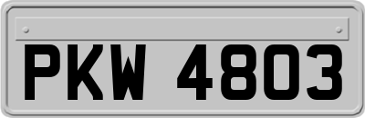 PKW4803