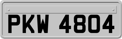 PKW4804