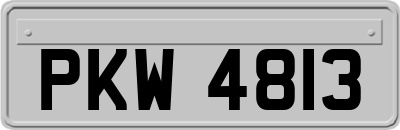 PKW4813