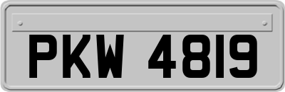 PKW4819