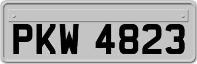 PKW4823