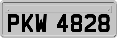 PKW4828