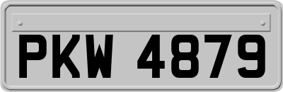 PKW4879