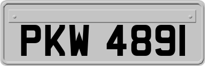 PKW4891