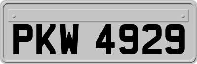 PKW4929