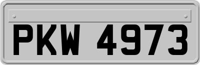 PKW4973