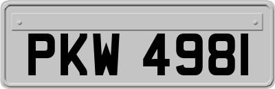 PKW4981