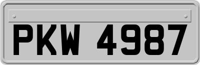 PKW4987