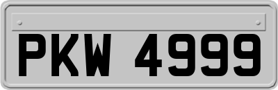 PKW4999