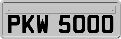 PKW5000