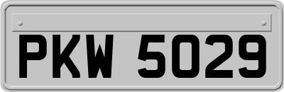 PKW5029