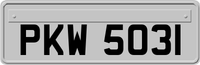 PKW5031
