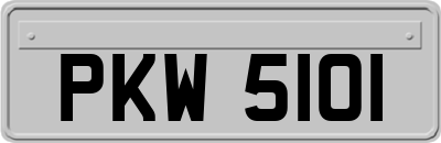 PKW5101