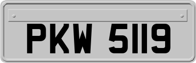 PKW5119