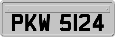 PKW5124
