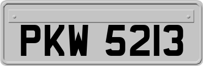 PKW5213