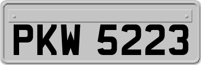 PKW5223