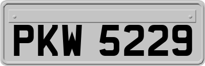 PKW5229