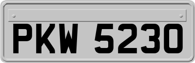 PKW5230