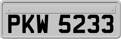 PKW5233