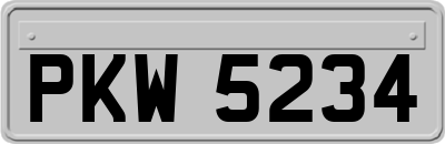 PKW5234
