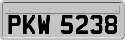 PKW5238