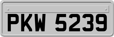 PKW5239