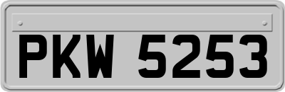 PKW5253