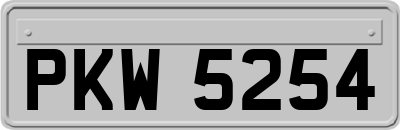 PKW5254
