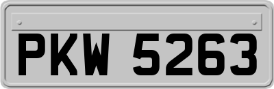 PKW5263