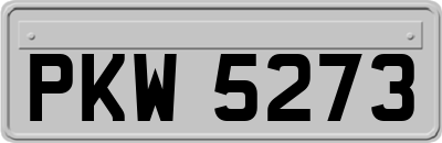 PKW5273