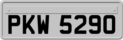 PKW5290