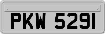 PKW5291