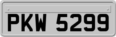 PKW5299