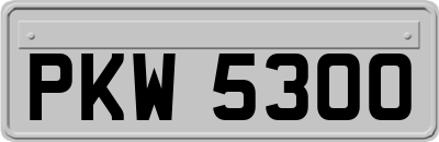 PKW5300