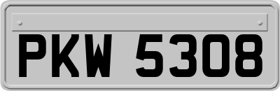 PKW5308