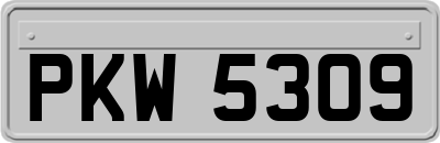 PKW5309
